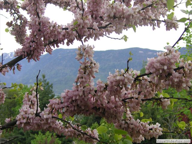 Blick Richtung Tschöggelberg