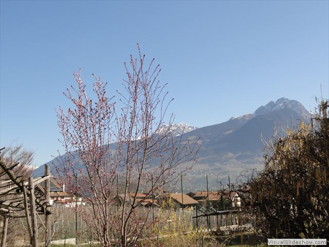 Blick zum Hirzer u Ifinger