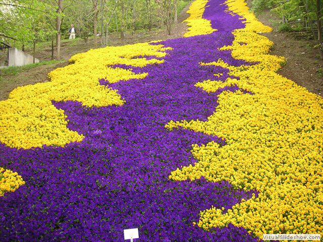Frühling in Trautmannsdorf